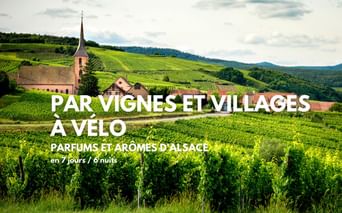 Vignoble alsacien