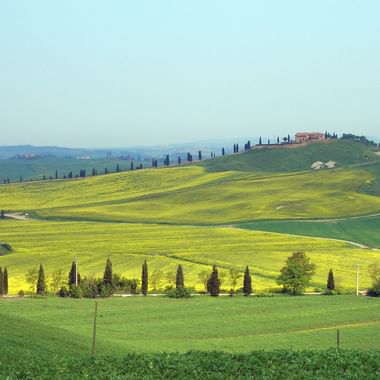 Paysage toscan